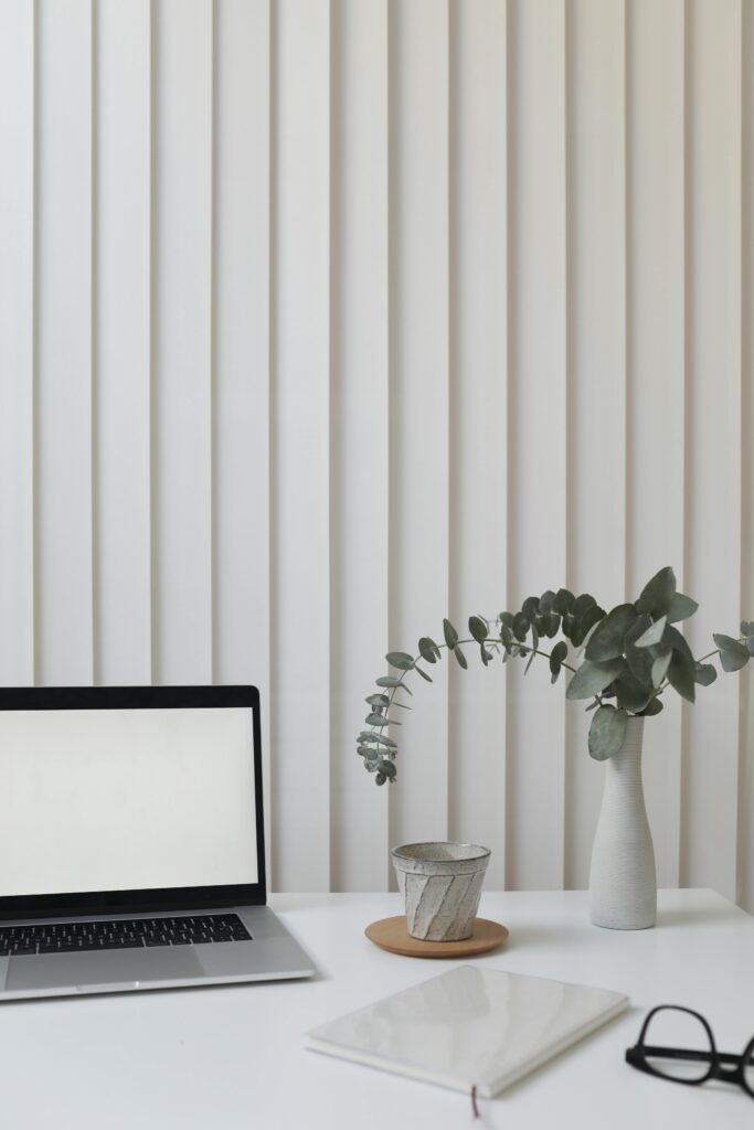 A laptop on a desk with a plant next to it